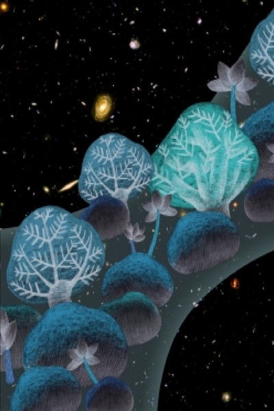 Poster do Filme My Little Moon