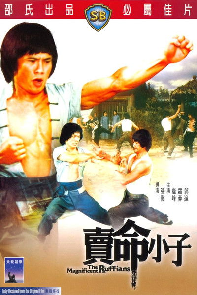 Poster do Filme 賣命小子