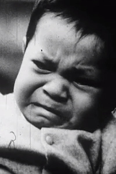 Poster do Filme Le Témoin ou la timide espérance