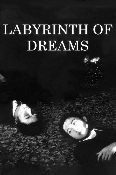 Poster for the movie Labyrinth of Dreams