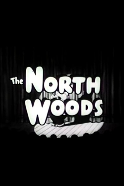Poster do Filme Northwoods