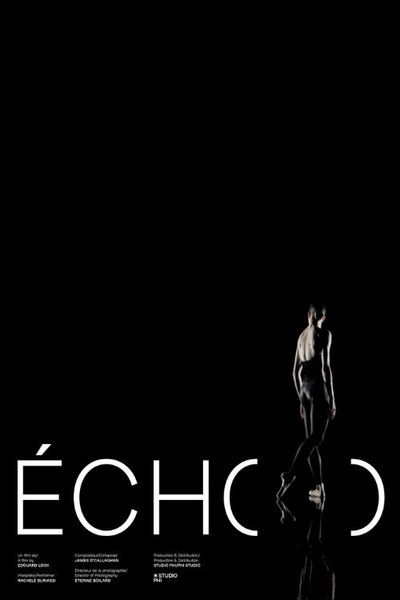Poster do Filme Écho