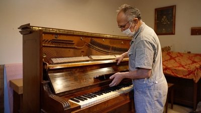 Piano Heartwood