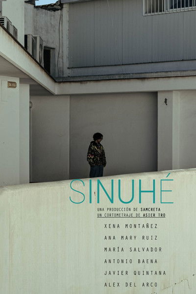 movie poster for Sinuhé