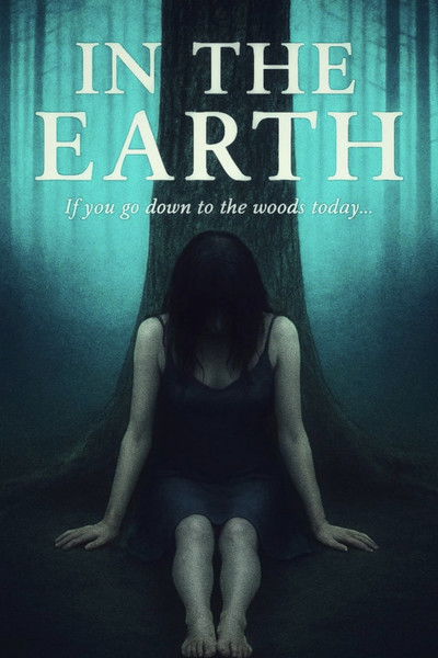 Poster do Filme In The Earth