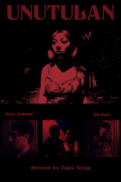 movie poster for The Forgotten