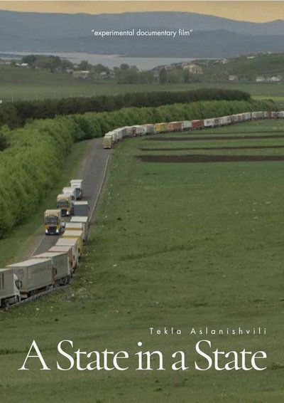 Poster do Filme A State in a State