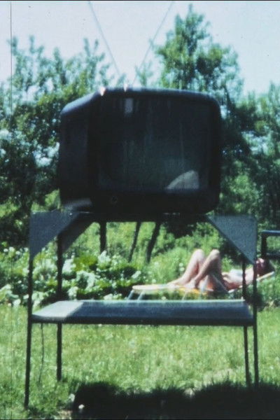 Poster do Filme Destroying Angel