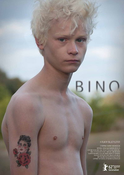 Poster do Filme Bino