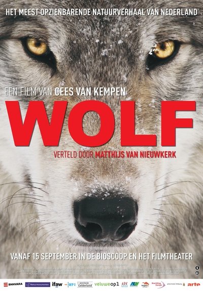 Poster do Filme Wolf