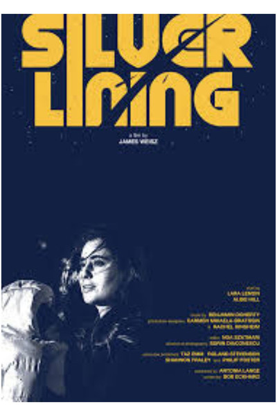 movie poster for Silver Lining