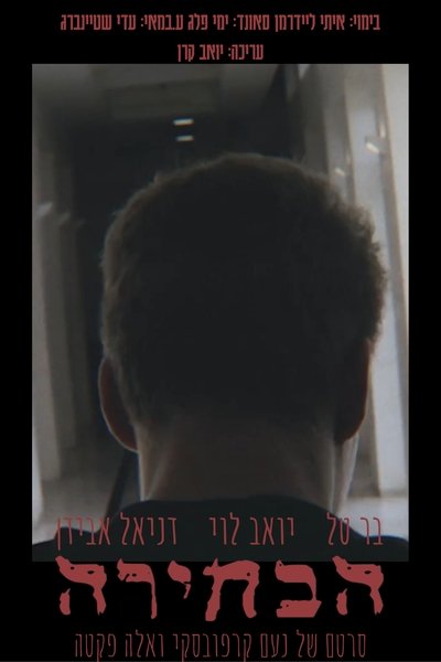 Poster do Filme הבחירה
