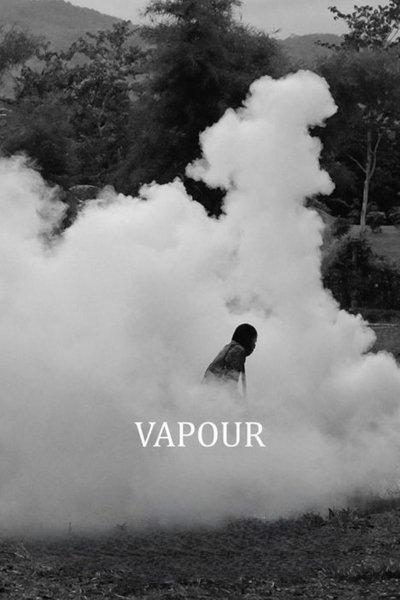 movie poster for Vapour