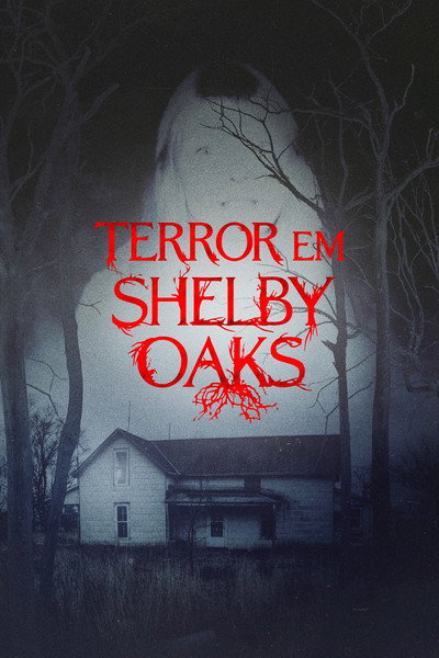 Poster do Filme Terror em Shelby Oaks