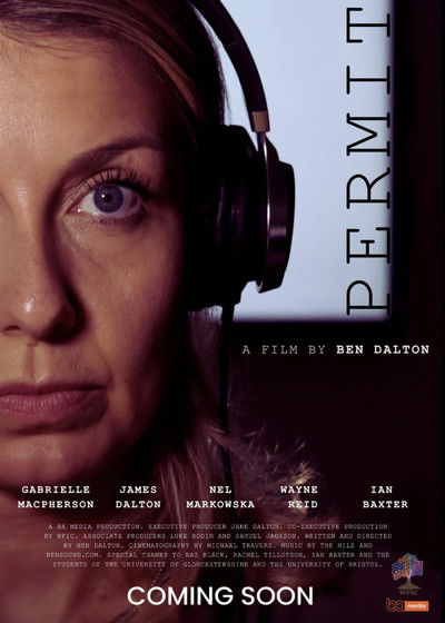 Poster do Filme Permit