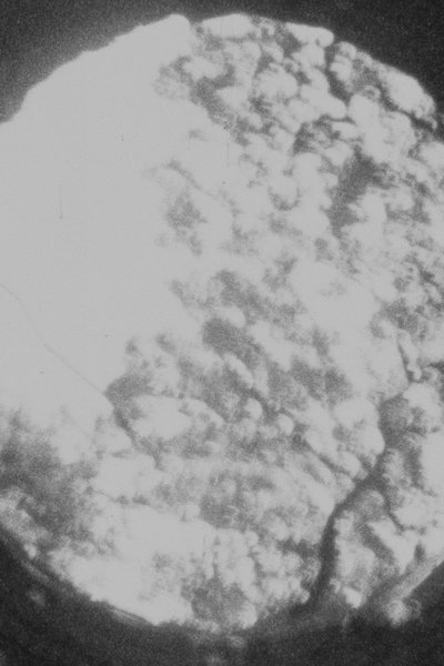 Poster do Filme The Initiation Well