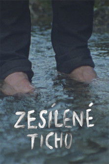 Poster do Filme Zesílené ticho