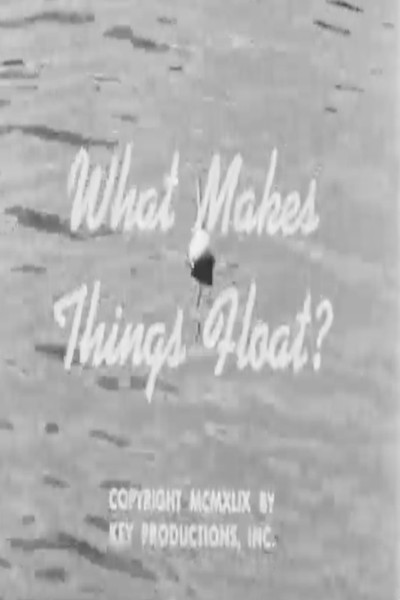 Poster do Filme What Makes Things Float?