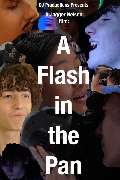 Poster do Filme A Flash in The Pan
