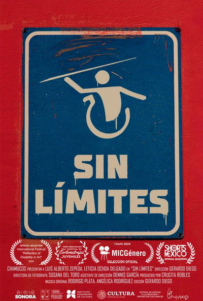 movie poster for No limitations