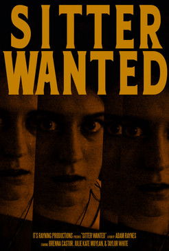 movie poster for Sitter Wanted