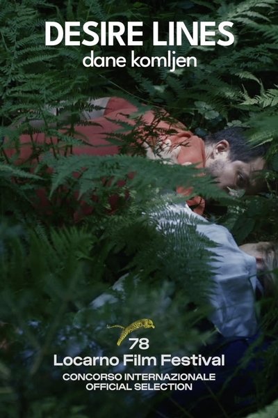 movie poster for Desire Lines