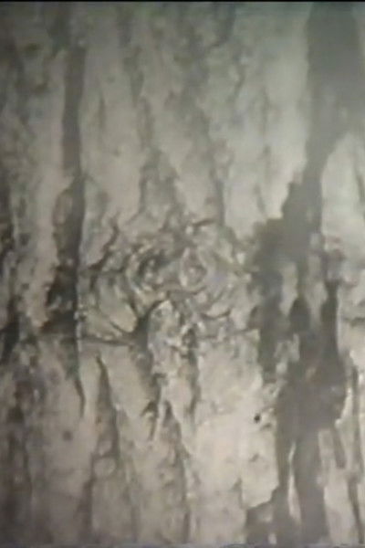 Poster do Filme Ствол