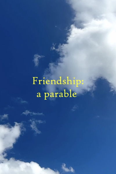 Poster do Filme A Parable