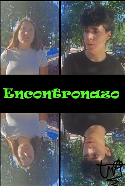movie poster for Encontronazo