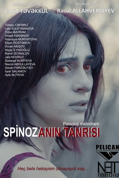 Poster do Filme Spinozanın Tanrısı