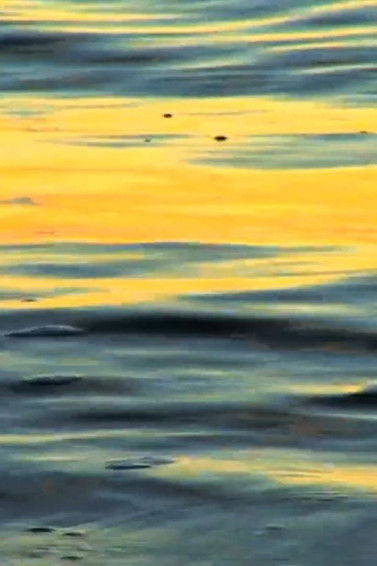 Poster do Filme Blue Desert