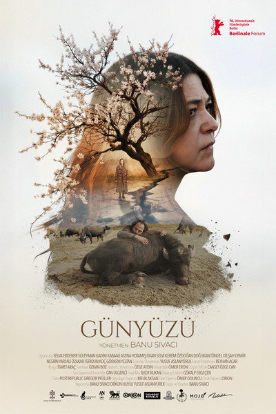 Günyüzü