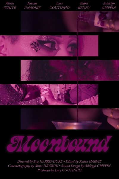 Poster do Filme Moonbound