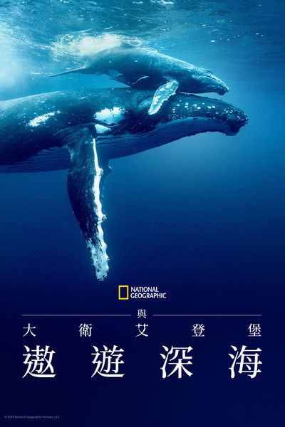 大卫·爱登堡：海洋