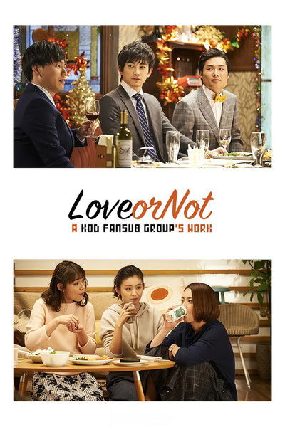 poster for Love or Not