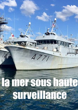 Poster do Filme La mer sous haute surveillance