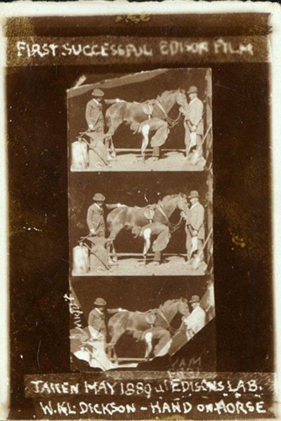 Horse Shoeing poster Horse Shoeing