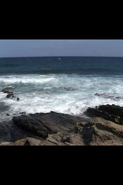 movie poster for ORA