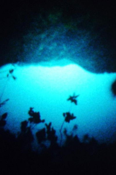 Poster do Filme This Must Be the Wood