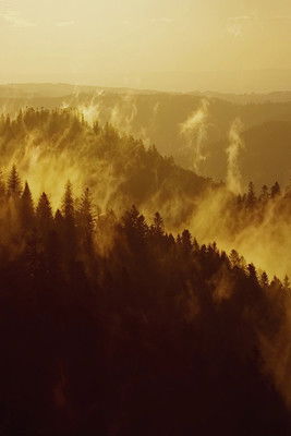 Poster do Filme Corps à cors