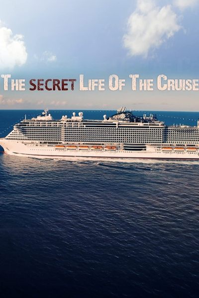 Poster do Filme The Secret Life of the Cruise