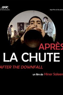 Poster do Filme Après la chute