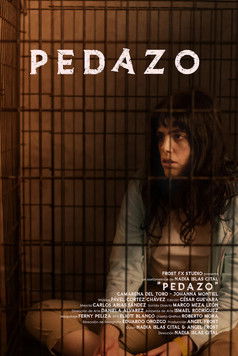 Poster do Filme Pedazo