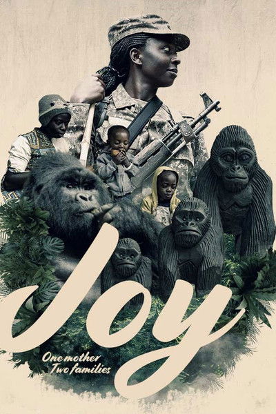 movie poster for Joy: One Mother Two Families