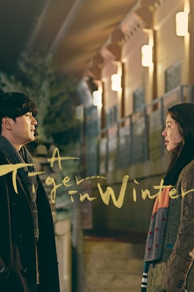 Poster for the movie A Tiger in Winter