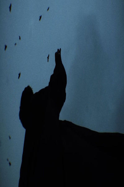 Poster do Filme Вальс