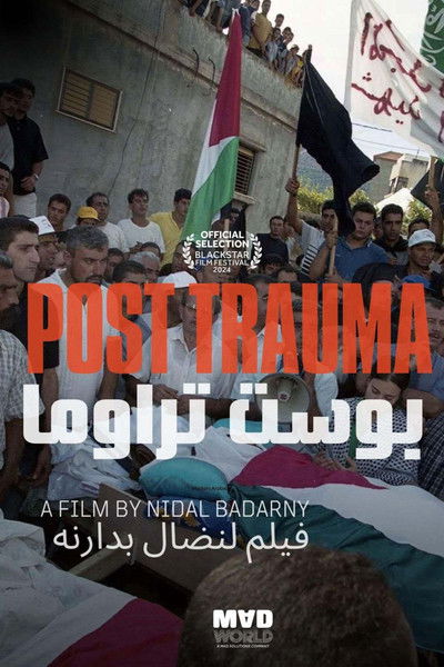 Poster do Filme Post Trauma