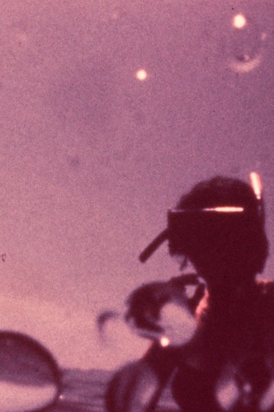 movie poster for Pearl Diver