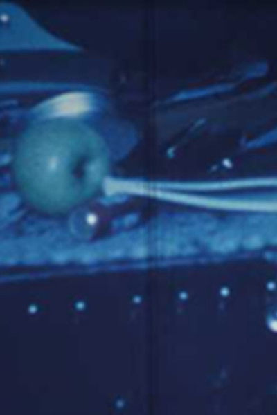 Poster do Filme Untitled