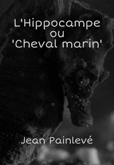 Watch!L'hippocampe, ou 'Cheval marin' Full Movie Putlocker